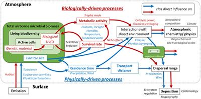 The aeromicrobiome: the selective and dynamic outer-layer of the Earth’s microbiome